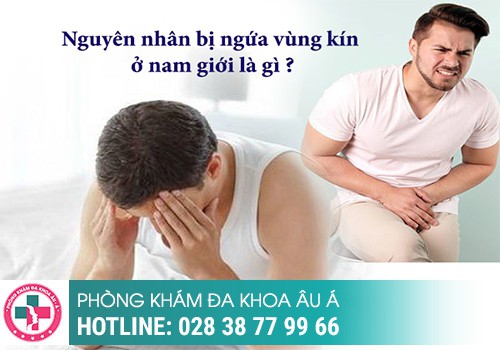 Ngứa bên trong dương vật là bị gì?