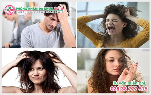 Chính vì thế, bài viết dưới đây chia sẻ cho bạn một số cách chữa bệnh ngứa da đầu an toàn, hiệu quả mà bạn đọc không nên bỏ qua.