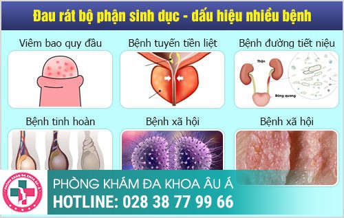 bộ phận sinh dục đau rát