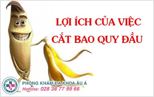 cắt bao quy đầu