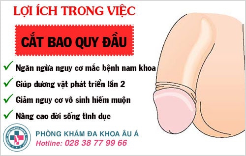 cắt bao quy đầu
