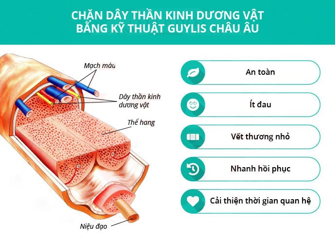 chữa yếu sinh lý tại nhà
