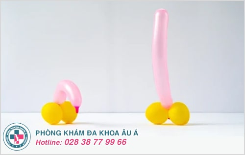 dương vật mềm