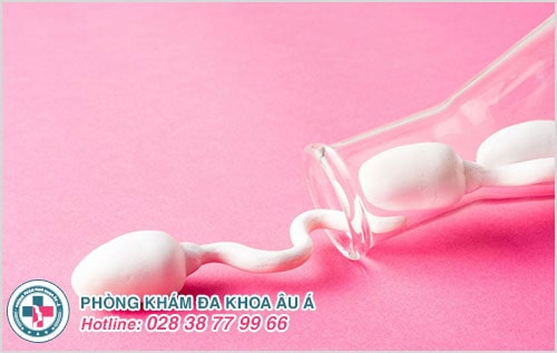 Nguyên nhân quan hệ không xuất, khó xuất tinh