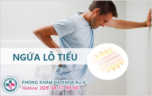 Ngứa lỗ tiểu, ngứa ống dẫn đường tiểu ở nam