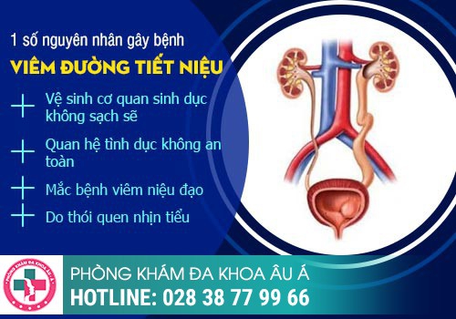 Nguyên nhân gây nhiễm trùng đường tiểu ở nam giới