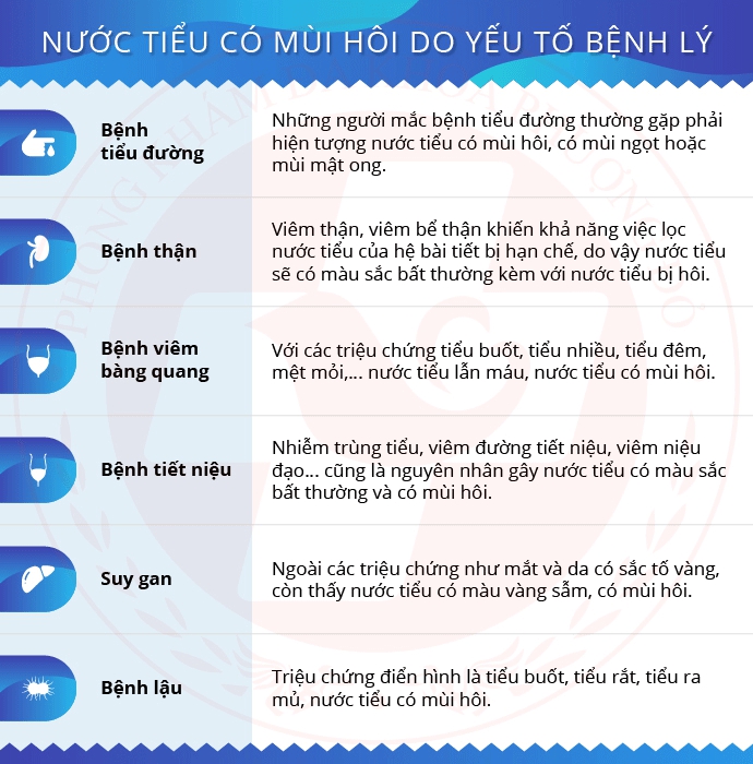 Nước tiểu có mùi hôi là do đâu?