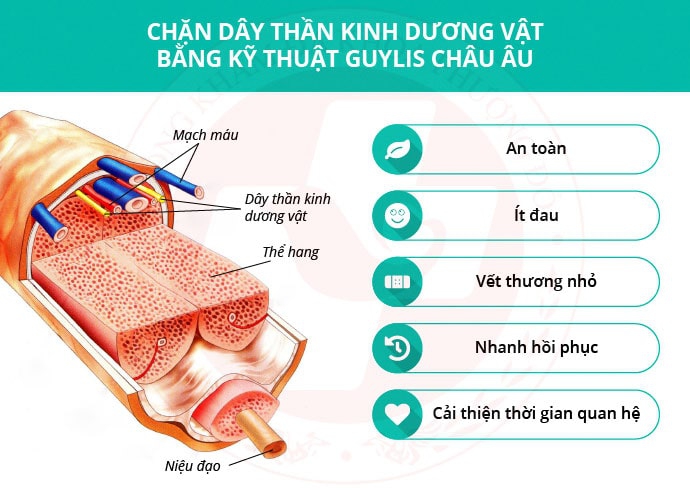 Thuốc chữa yếu sinh lý có thực sự hiệu quả hay không