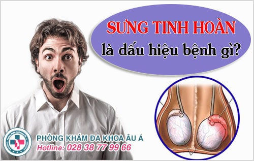 sưng tinh hoàn