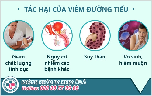 Viêm đường tiết niệu nam