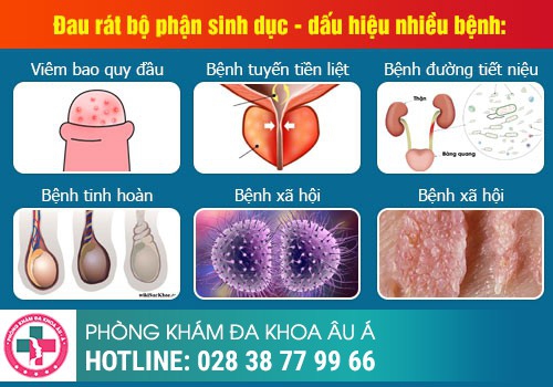 Bộ phận sinh dục nam bị rát đỏ là bị gì?