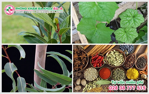 Để hiễu rõ hơn về bệnh ghẻ là gì? Nguyên nhân và cách điều trị hiệu quả thì người bệnh có thể tham khảo ngay bài viết dưới đây.